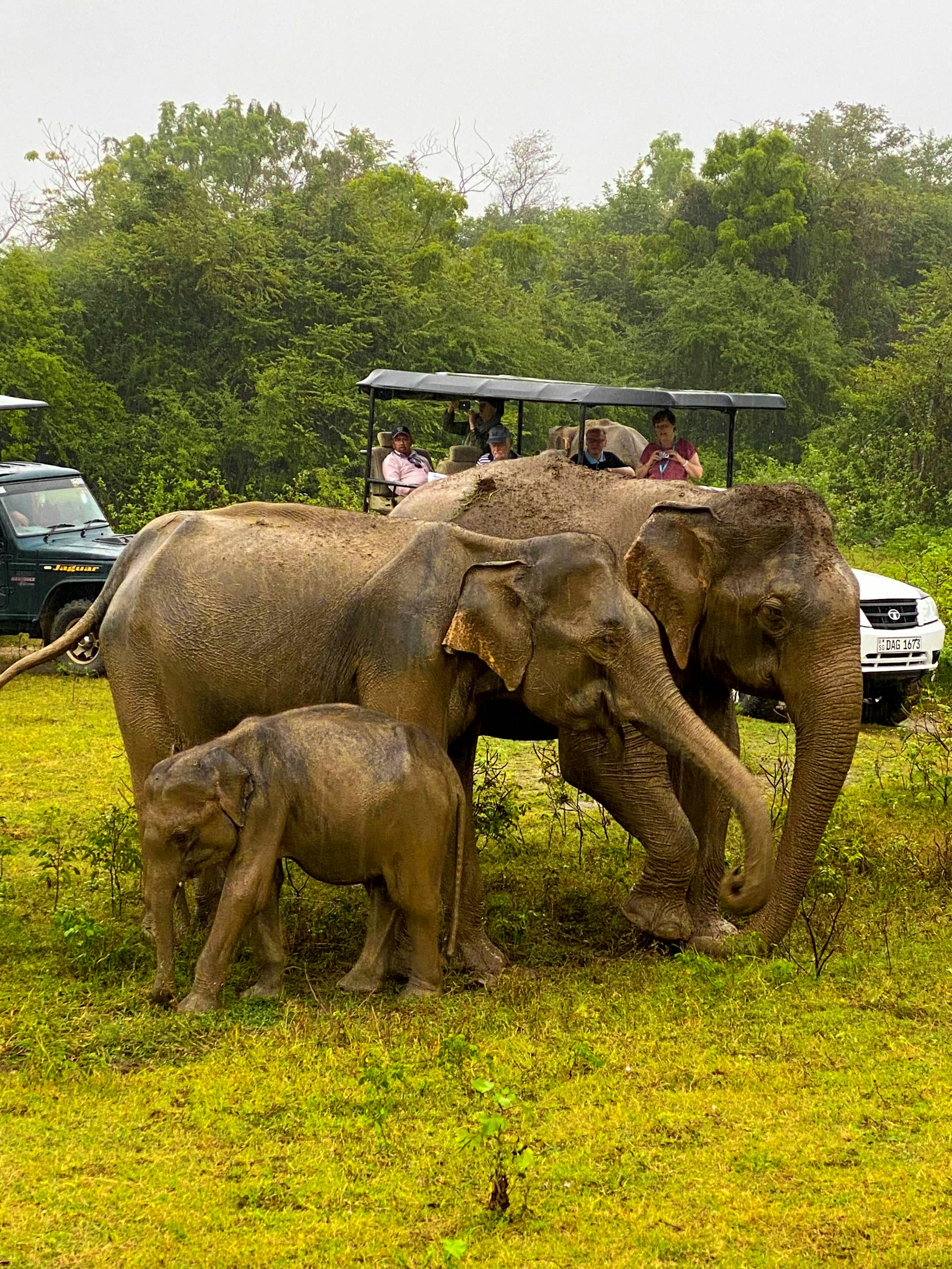 Udawalawe National Park